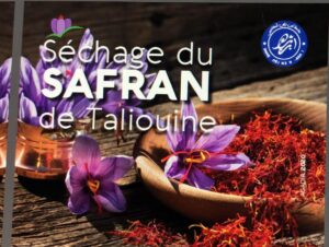 WhatsApp Image 2025 11 20 at 22.45.06