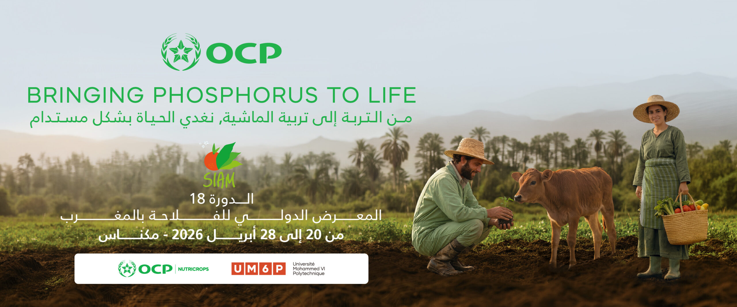 déclinaisons_720x300 ARABIC